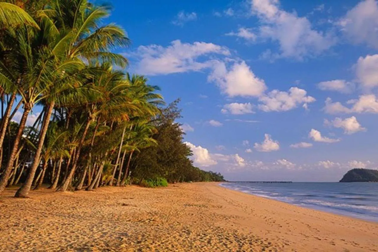 The Palms At Mango Lagoon - Palm Cove Wellness Haven location